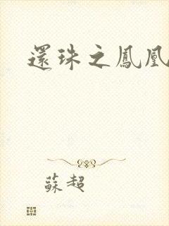 还珠之凤凰重生