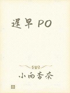 迟早 PO