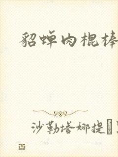 貂蝉肉棍棒小说