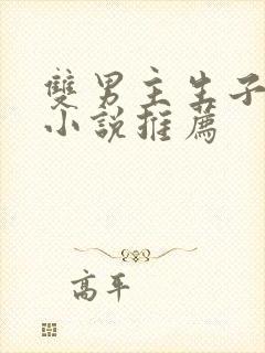 双男主生子甜文小说推荐