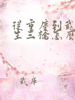 从重庆到武隆天生三桥怎么坐车