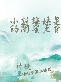 小说梅姨是小妈的闺蜜免费阅读