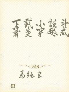 下载小说斗罗:萧炎穿越成唐三