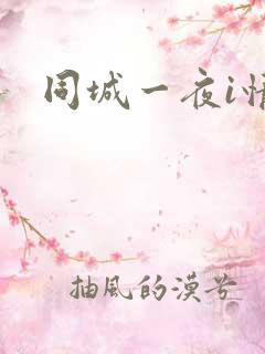 同城一夜i情