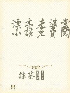 漂亮老婆当妻后小说免费阅读