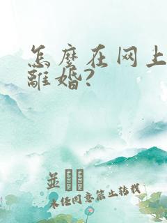 怎么在网上操作离婚?