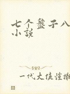 七个盘子八个碗小说