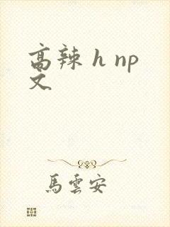 高辣 h np文