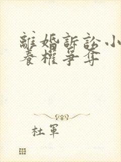 离婚诉讼小孩抚养权争夺