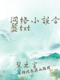 网络小说合集网盘txt