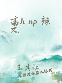 高h np 辣文