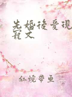 先婚后爱现言甜宠文