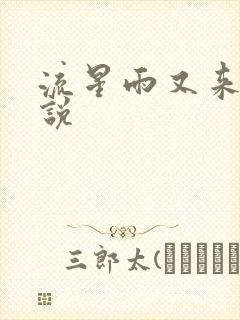 流星雨又来临小说