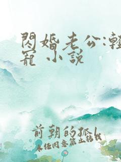 闪婚老公:轻点宠 小说