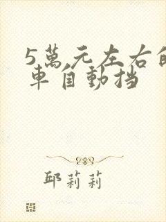 5万元左右的油车自动挡