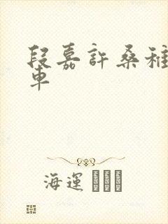 段嘉许桑稚浴室车