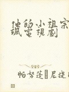 他的小祖宗甜又飒电视剧