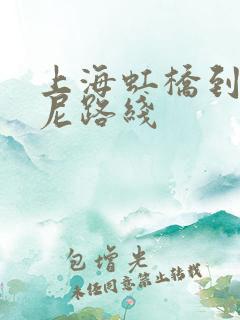 上海虹桥到迪士尼路线