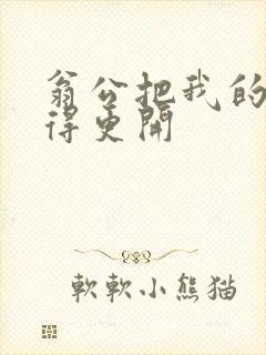 翁公把我的腿分得更开