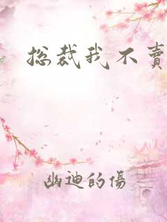 总裁我不卖宝宝