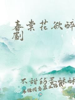 春棠花欲醉 短剧