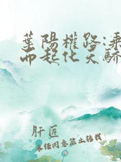 叶阳权路:乘风而起化天骄在线阅读