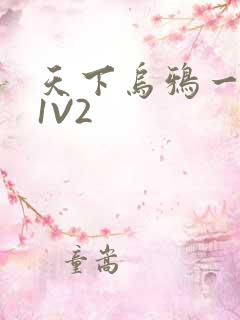 天下乌鸦一般黑1V2