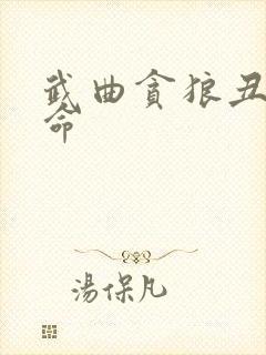 武曲贪狼丑宫坐命