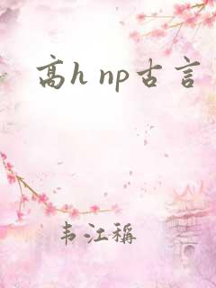 高h np古言