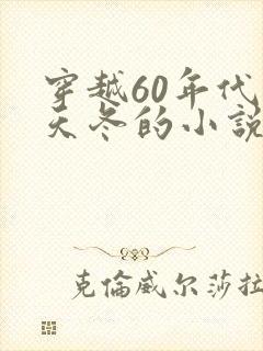 穿越60年代杨天冬的小说