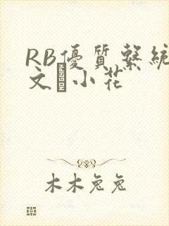 RB优质系统全文寀小花