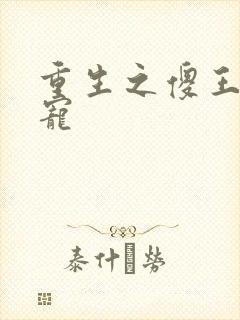 重生之傻王心尖宠