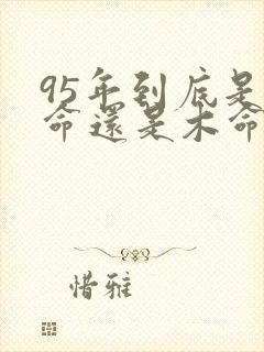 95年到底是火命还是木命