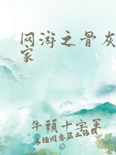 网游之骨灰级玩家