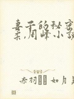 妻子的秘密,苏柔,周峰小说免费阅读