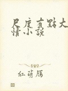 尺度有点大的言情小说