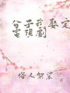 公子我娶定你了电视剧