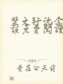 裴文轩沈念念小说免费阅读最新章节