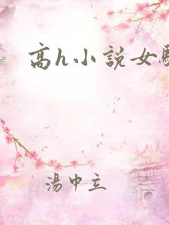 高h小说女骚