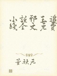 小说邪王追妻在线全文免费阅读