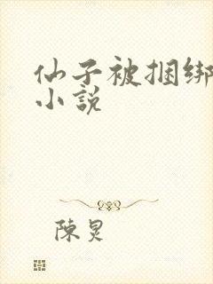 仙子被捆绑调教小说