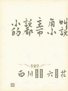 小说主角叫苏辰的都市小说