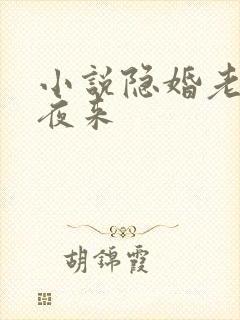 小说隐婚老公深夜来