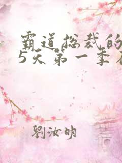 霸道总裁的365天第一季在线观看