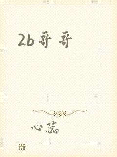 2b哥哥