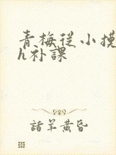 青梅从小摸到大h补课