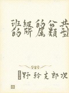 班级的公共小0的所属类型