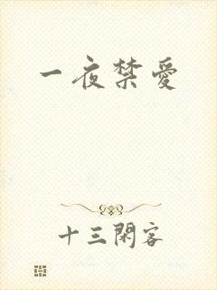 一夜禁爱