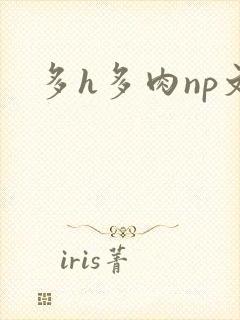 多h多肉np文