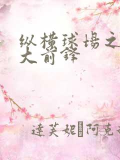 纵横球场之暴力大前锋